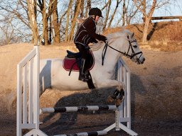 IMG-2119-012